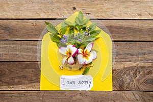 I am sorry message card handwriting in yellow envelope with flowers frangipani
