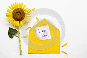 I am sorry message card handwriting in yellow envelope with yellow flower sunflower