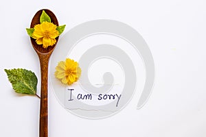 I am sorry message card handwriting with yellow flowers cosmos on wooden spoon