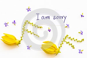 I am sorry message card handwriting with  yellow flowers ylang ylang arrangement music score