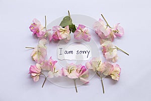 I am sorry message card with pink flowers