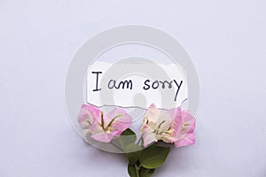 I am sorry message card with pink flowers