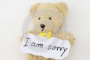 I am sorry message card and teddy bear