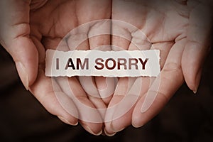 I am sorry text on hand