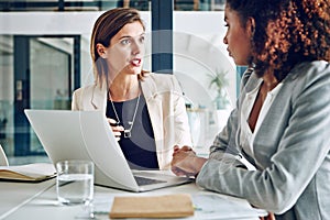 I really think we could make these plans work. two corporate businesswomen working together on a laptop in an office.