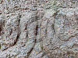 ancient site stone texture photo
