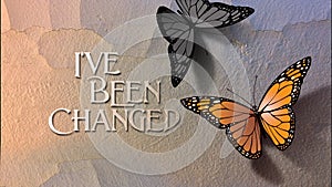 I`ve Been Changed Butterfly Crack in wall Background