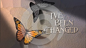 I`ve Been Changed Butterfly Crack in wall spotlight background