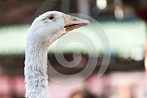 I've been watching you