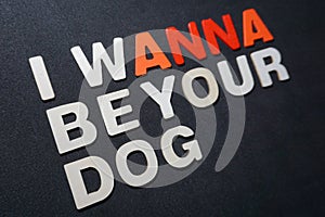 I wanna be your dog photo