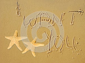 I Want You Written in Sand photo