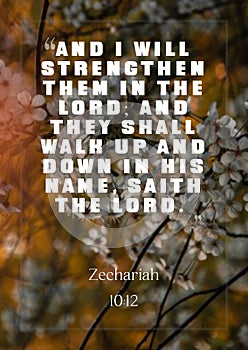 Bible Words ` And i wil strengthen them in the lord and they shall walk up an down in the name saith the Lord Zechariah 10:12 ` photo
