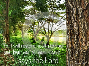 I will restore you to health and heal your wounds with nature background and design for Christianity.