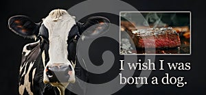 I wish I was born a dog - leave sentient beings off the menu photo