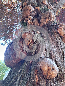 I'm old but not obsolite