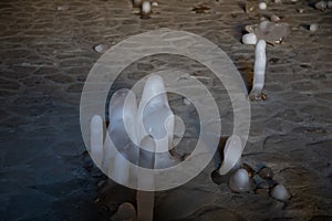 Ialominta cave stalactite - inside shoot