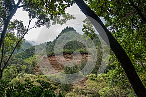 Iao Needle From Below 2