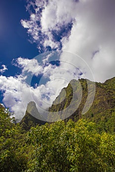 Iao Needle in Rain Forest