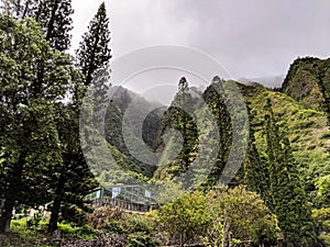 Iao Valley state mountains and Iao Needle in wailuku, maui ,Hawaii