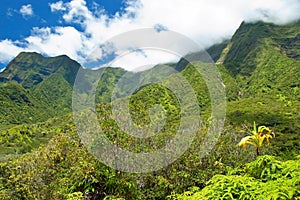 Iao Valley State Park on Maui Hawaii