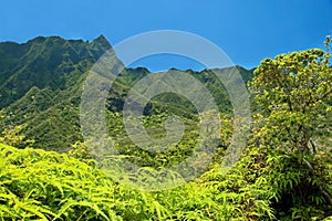 Iao Valley State Park on Maui Hawaii