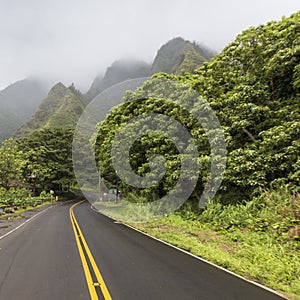 Iao Valley State Park on Maui Hawaii