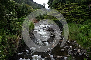 Iao Valley Stream, Hawaii