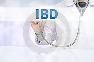 IBD - Inflammatory Bowel Disease. Medical Concept