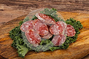 Iberian pork Fuet sausage slices