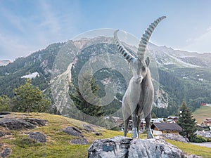 Ibex statue in Pralognan-la-Vanoise, close by national park of Vanoise photo