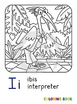 Ibis interpreter or translator. ABC Coloring book