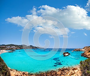 Ibiza Cala Tarida beach in Balearic Islands photo