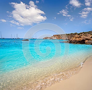 Ibiza Cala Tarida beach in Balearic Islands photo