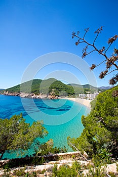 Ibiza caleta de Sant Vicent cala San vicente san Juan photo