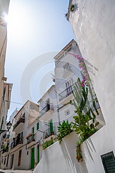 Ibiza Eivissa downtown Dalt Vila facades photo