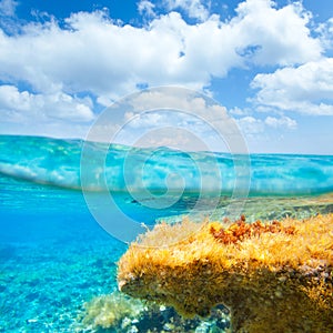 Ibiza Formentera underwater waterline blue sky photo
