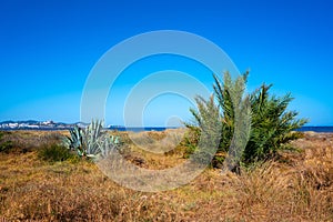 Ibiza Playa d En Bossa beach in Balearic Islands