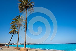 Ibiza Playa d En Bossa beach in Balearic Islands