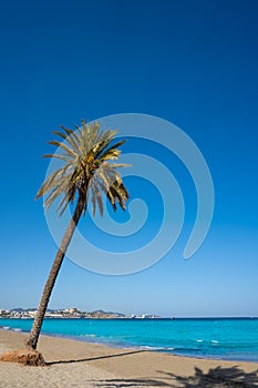 Ibiza Playa d En Bossa beach in Balearic Islands photo