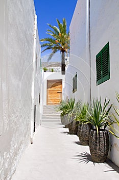 Ibiza Sant Joan Labritja San Juan white houses photo