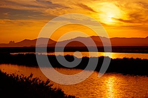 Ibiza ses Salines saltworks at sunset in Sant Josep photo