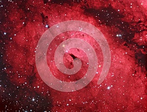 IC1318 Gamma cygni nebula