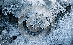 Ice above forest stream