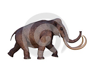 Ice Age Columbian Mammoth