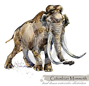 Ice Age wildlife. prehistoric period fauna. Columbian mammoth.