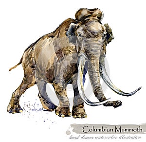 Ice Age wildlife. prehistoric period fauna. Columbian mammoth. photo