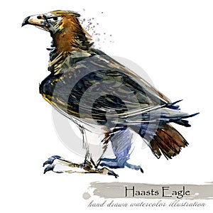 Ice Age wildlife. prehistoric period fauna. Haasts Eagle.