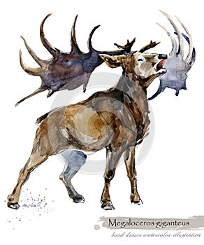 Ice Age wildlife. prehistoric period fauna. Megaloceros giganteus.