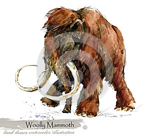 Ice Age wildlife. prehistoric period fauna. Woolly Mammoth. watercolor animal.