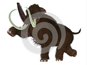 Ice Age Woolly Mammoth Male